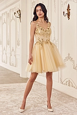 Ladivine Dress CY019
