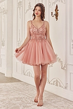 Ladivine Dress CY022