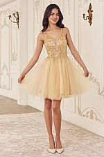 Ladivine Dress CY022