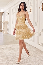 Ladivine Dress KV1090