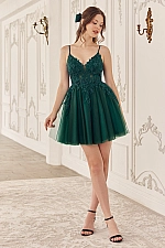 Ladivine Dress SF047