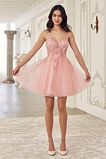 Ladivine Dress SF047