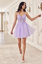 Ladivine Dress SF047