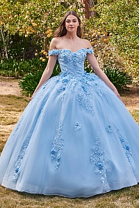 Ladivine Dress 15702