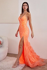 Ladivine Dress CD0209