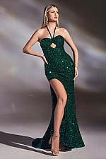 Ladivine Dress CD883