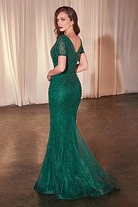 Ladivine Dress CC4019