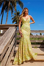 Nox Anabel Dress Q1540