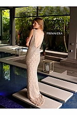 Primavera Dress 12102