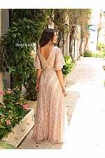 Primavera Dress 13119