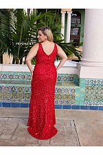 Primavera Dress 14048