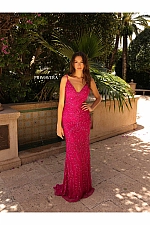 Primavera Dress 3793