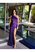 Primavera Dress 4112