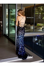 Primavera Dress 4114