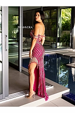 Primavera Dress 4127