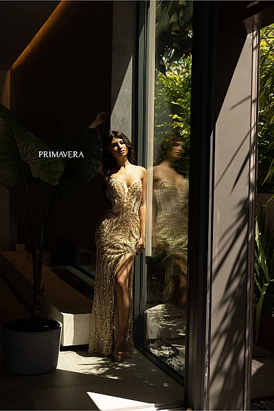 Primavera Dress 4134