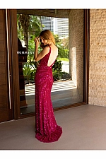 Primavera Dress 4143