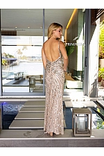 Primavera Dress 4171
