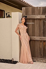 Primavera Dress 13155