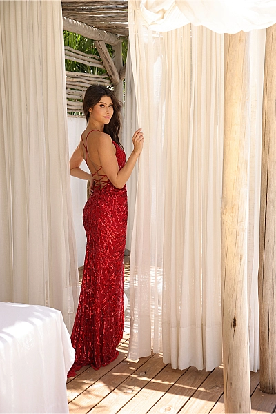 Primavera Dress 4551